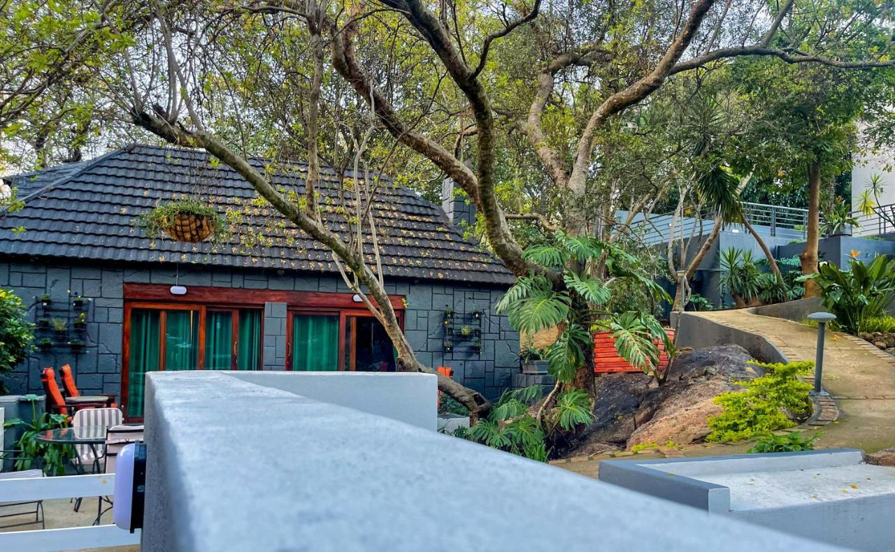 Amoris Guest House-Randburg Johannesburg Zewnętrze zdjęcie